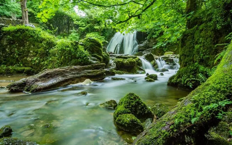节能独特高效
